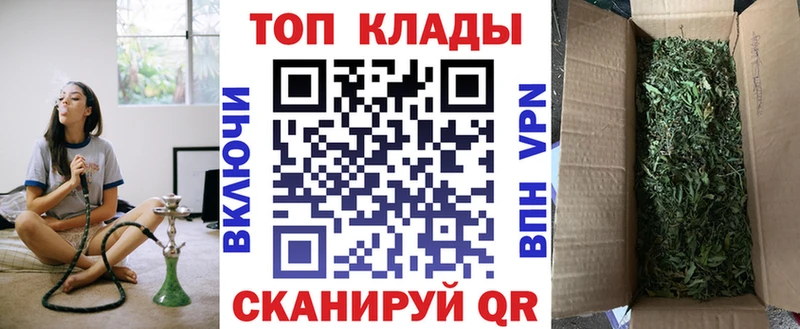 Где продают наркотики Новозыбков Галлюциногенные грибы Alpha-PVP Конопля МЕФ COCAIN