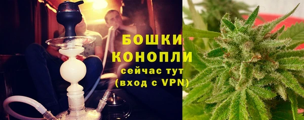 PSILOCYBIN Балабаново