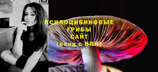 PSILOCYBIN Балабаново